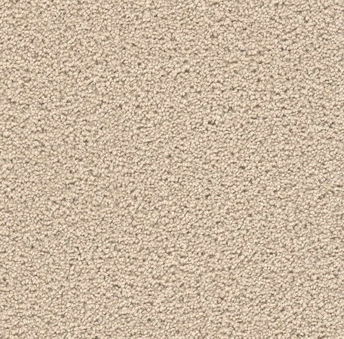 Click to enlarge EGGSHELL