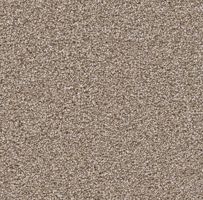 Sensational in Rye - Carpet by Engineered Floors