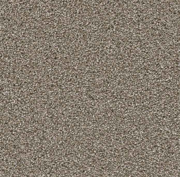 Click to enlarge DAPLIN