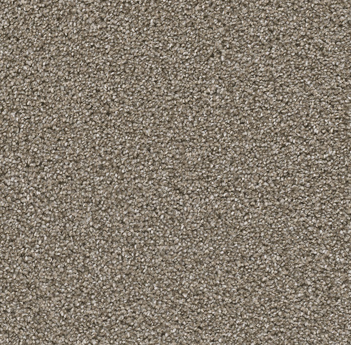 Sensational in Daplin - Carpet by Engineered Floors