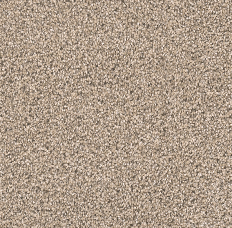 Click to enlarge GINGER