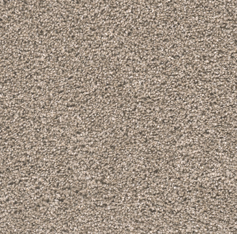 Click to enlarge MOCHA