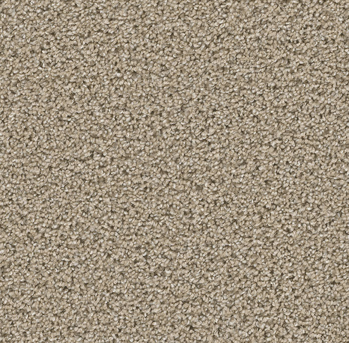 Click to enlarge GINGER
