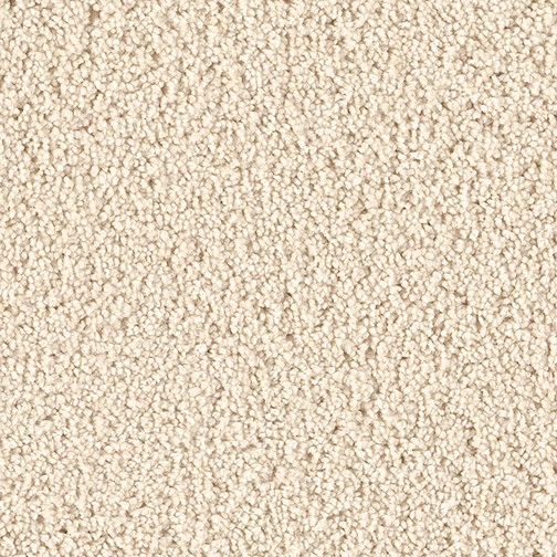 Click to enlarge LACE