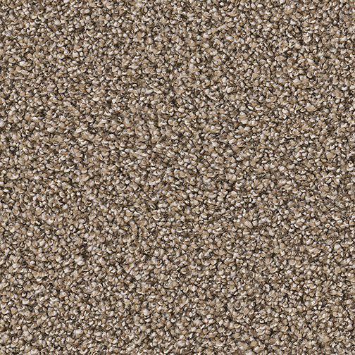 Outstanding in Five Star - Carpet by Engineered Floors