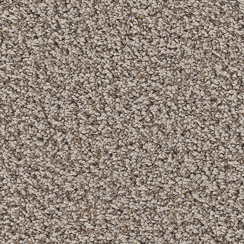 Click to enlarge ZEST
