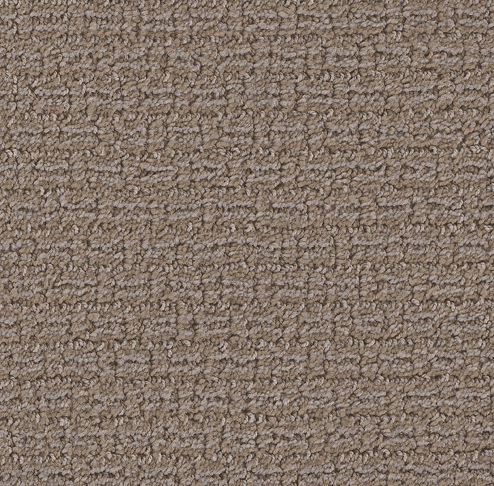 Concord in Polished Pebble - Carpet by Engineered Floors