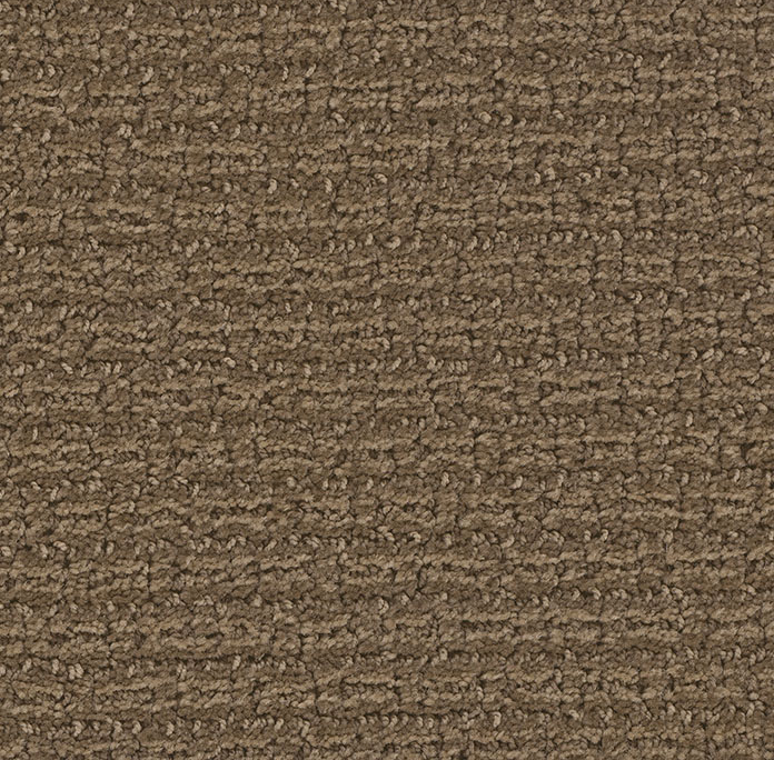 Concord in Boot Strap - Carpet by Engineered Floors