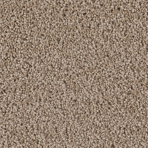 Click to enlarge CASHEW
