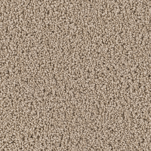 Click to enlarge LAVISH