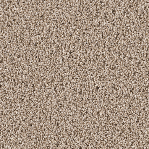 Click to enlarge CHIFFON
