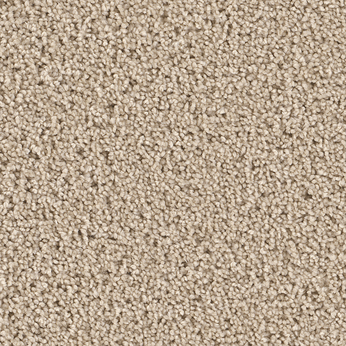 Click to enlarge CANARY