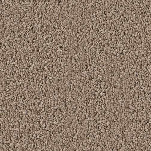 Click to enlarge MUSHROOM