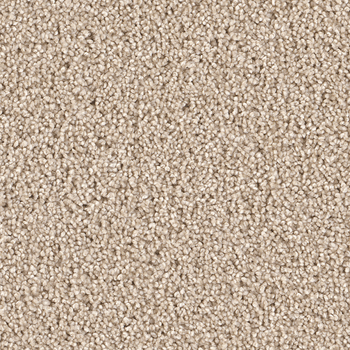 Click to enlarge BLUSH