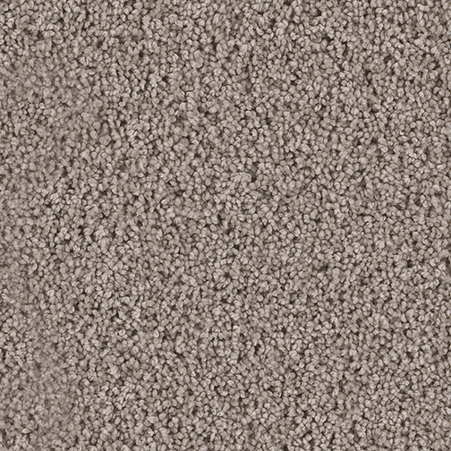 Click to enlarge ASH
