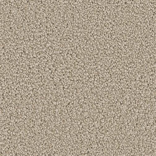 Click to enlarge CASHEW