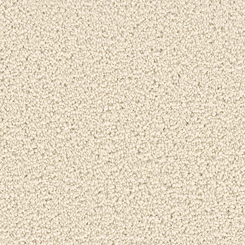 Click to enlarge LACE