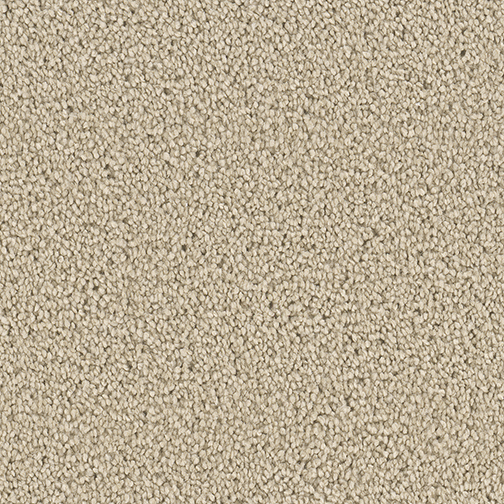 Click to enlarge EGGSHELL