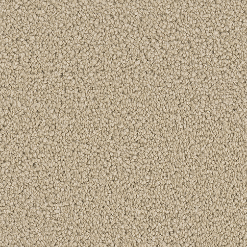 Click to enlarge GINGER