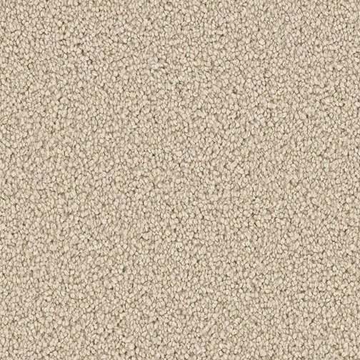 Click to enlarge IVORY