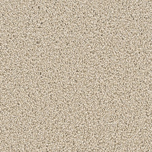 Click to enlarge BLUSH