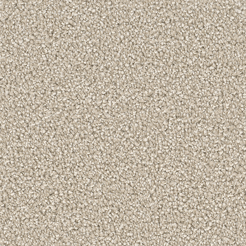 Click to enlarge CLASSIC