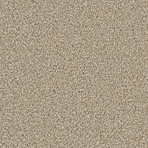 Click to enlarge FLAX