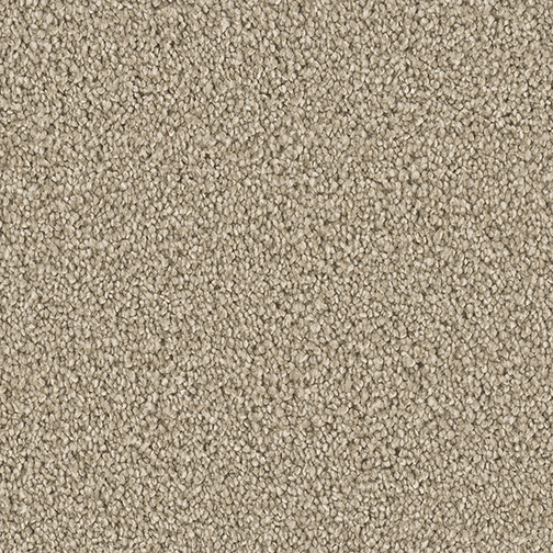 Click to enlarge VIVID