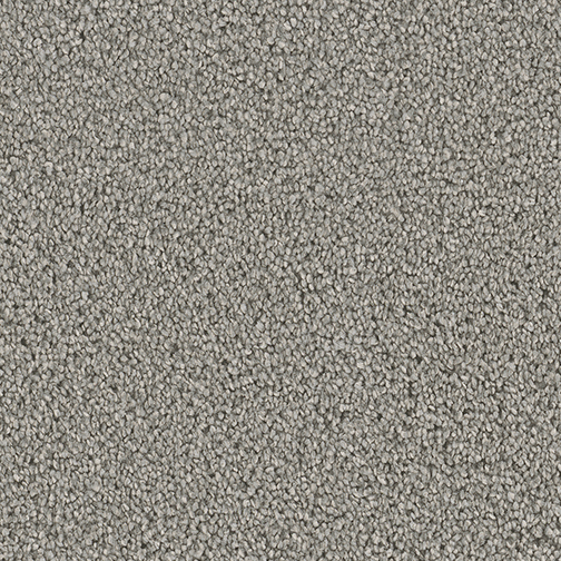 Click to enlarge TRANSLUCENT