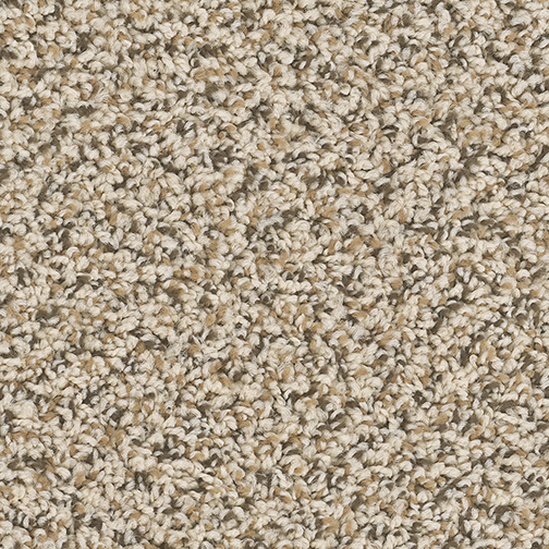 Cherry Creek in Shoreline - Carpet by Engineered Floors