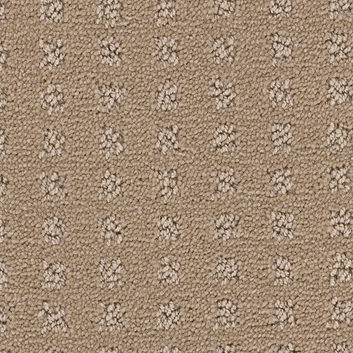 Click to enlarge CANVAS