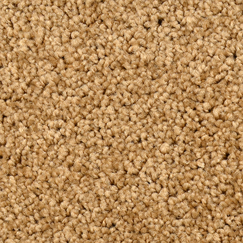 Click to enlarge SABLE