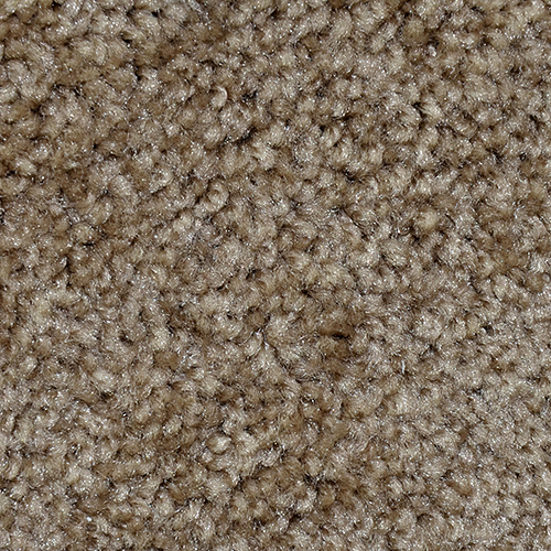 Click to enlarge BALSAM