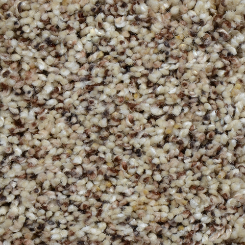 Click to enlarge BUCKWHEAT