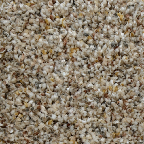 Click to enlarge BISQUE