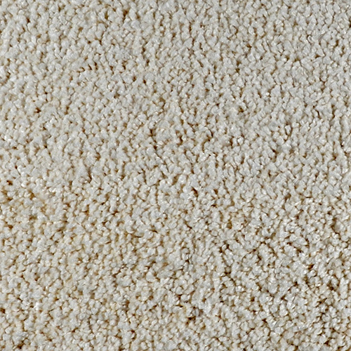 Click to enlarge LACE