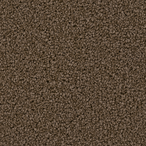 Click to enlarge LATTE
