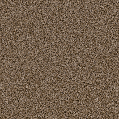 Click to enlarge BALSAM