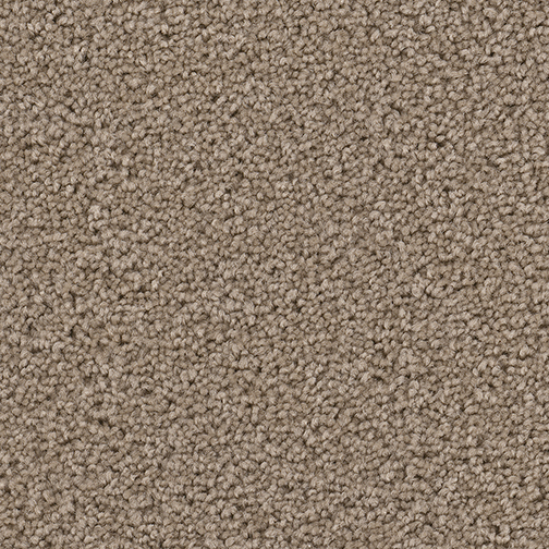 Click to enlarge ASH