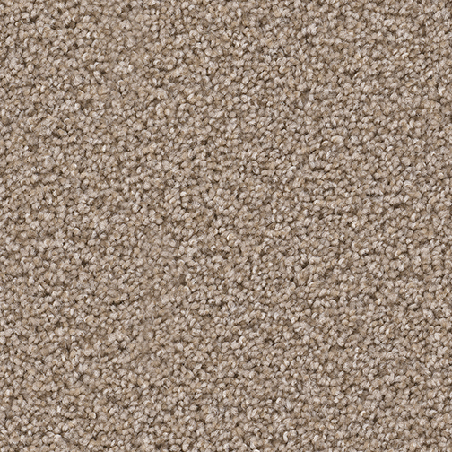 Click to enlarge ALMOND