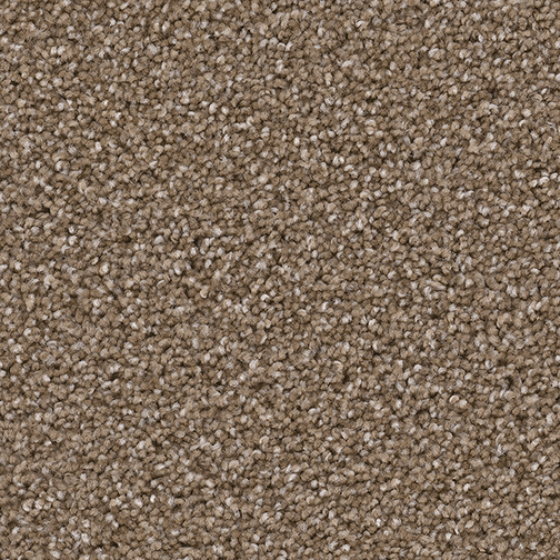 Click to enlarge CHESTNUT