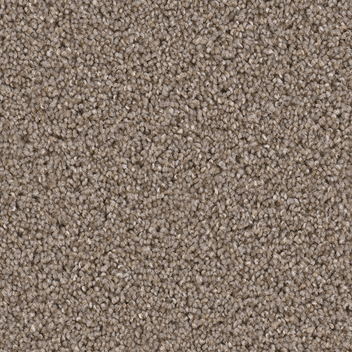 Click to enlarge CINDER