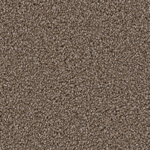 Click to enlarge LAVA